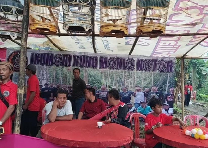 3 Tahun Anniversary, Kum@N Perkuat Silaturahmi Antar Pecinta Burung Perkutut