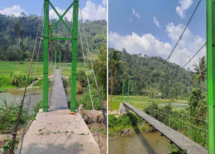 Permudah Akses Usaha Tani, Pekon Pagar Dewa Bangun Jembatan Gantung 