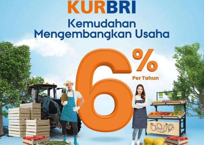 UMKM Wajib Tahu! Ini Skema KUR BRI 2025 dengan Cicilan Super Ringan