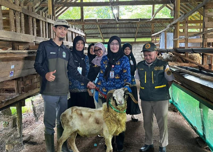 Pemprov Lampung Kerahkan 1.229 Petugas Awasi Hewan Kurban Jelang Iduladha