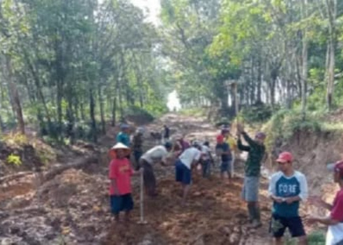 Warga Kampung Rejosari Gotong Royong Perbaiki Jalan rusak