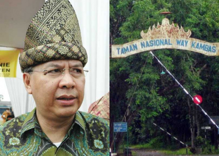 Alzier Pertanyakan Perawatan Gajah Indra, Desak Evaluasi Sistem Konservasi Way Kambas