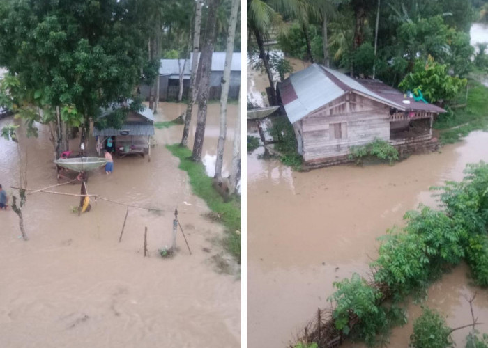Way Pedada Meluap, 10 Rumah Warga Tergenang Banjir