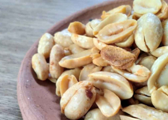 Kacang Jepara: Camilan Tradisional yang Gurih dan Melegenda