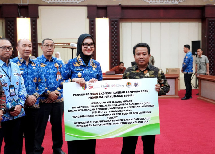 Wagub Jihan Dorong Program Keuangan Lampung Tepat Sasaran di Rapat TPAKD 2025