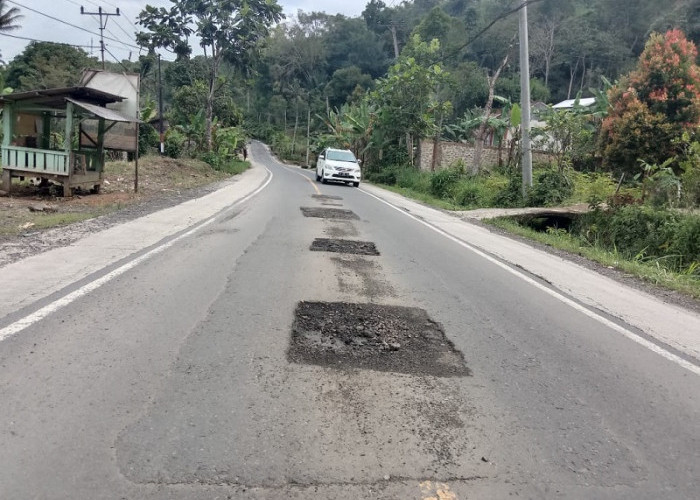 Lubang di Jalan Nasional Pekon Sukapura Bahayakan Pengguna Jalan