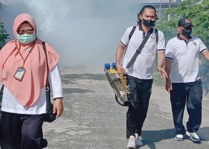 Cegah DBD, Kelurahan Pasar Krui Gencarkan Fogging dan Pemantauan Jentik