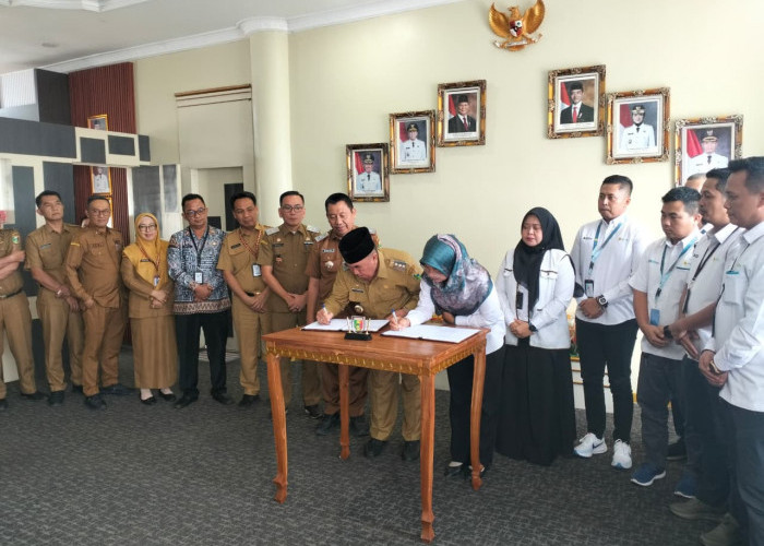 PLN dan Pemkab Tanggamus Bidik Optimalisasi PAD Lewat PBJT Tenaga Listrik
