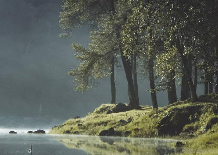 Situ Patenggang, Pesona Romantis di Dataran Tinggi Ciwidey Jawa Barat