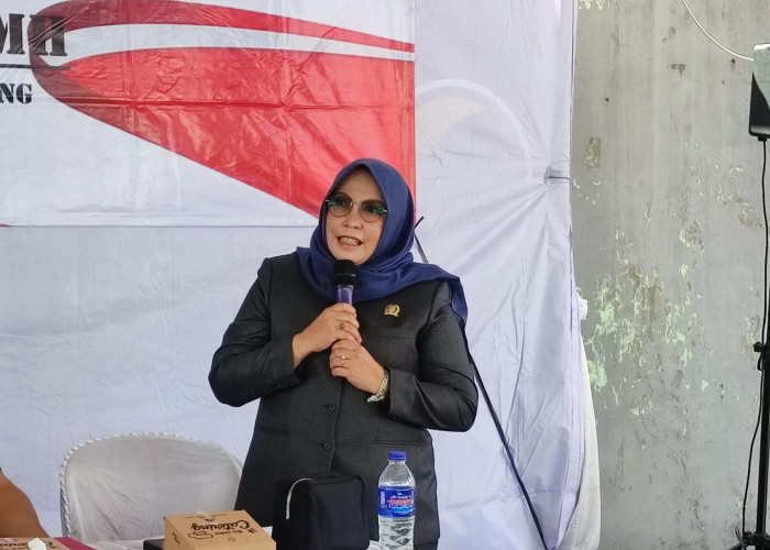 Misgustini Nilai Pilkada Lewat DPRD Bisa Tekan Biaya Politik