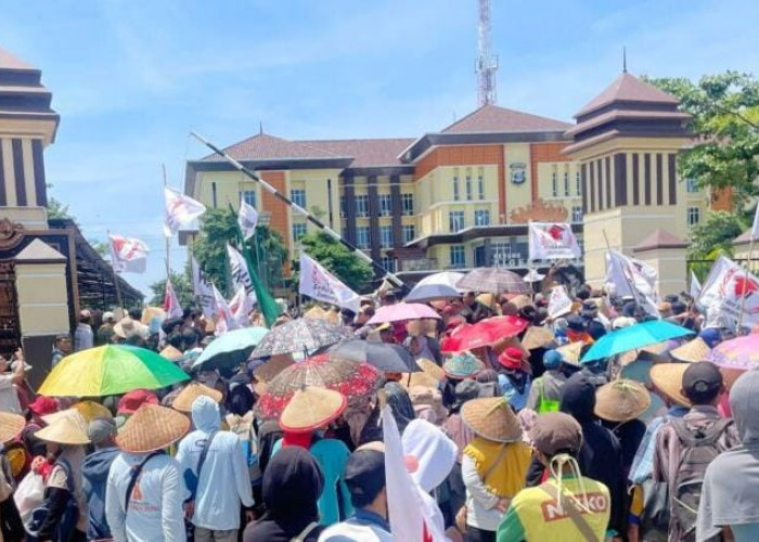 Ratusan Petani Desak Polda Lampung Berantas Mafia Tanah