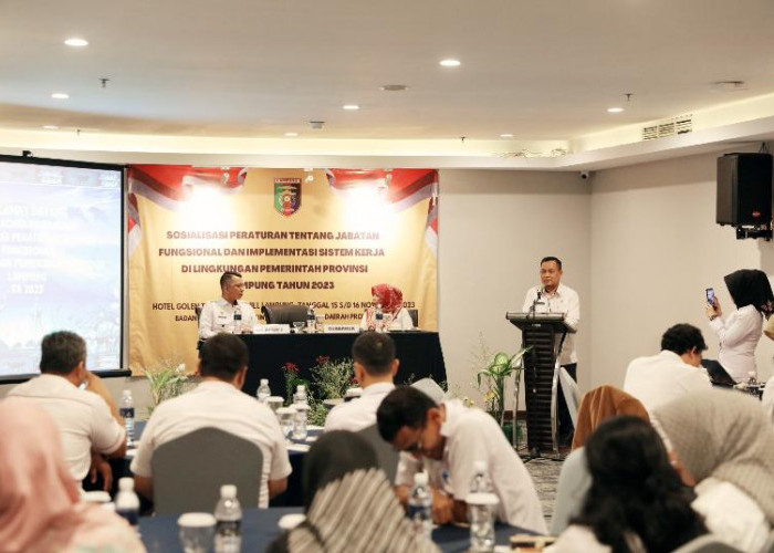 Pemprov Lampung Sosialisasikan Peraturan Jabatan Fungsional dan Implementasi Sistem Kerja
