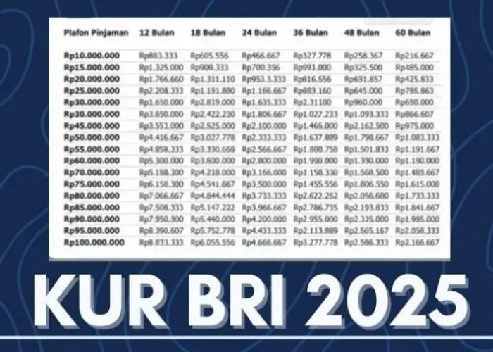 Simulasi Cicilan KUR BRI 2025, Plafon 10–300 Juta dengan Bunga 6 Persen