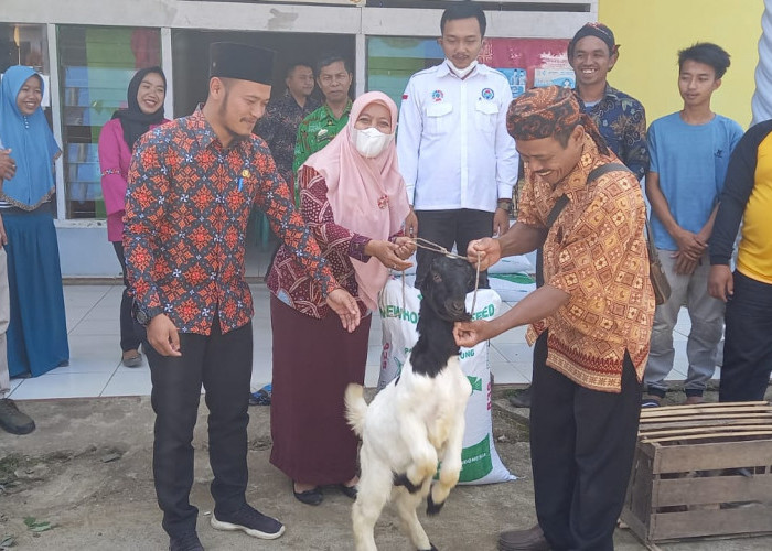 Camat dan Peratin Muarajaya ll Lakukan Penyerahan Simbolis Bantuan Kambing DD