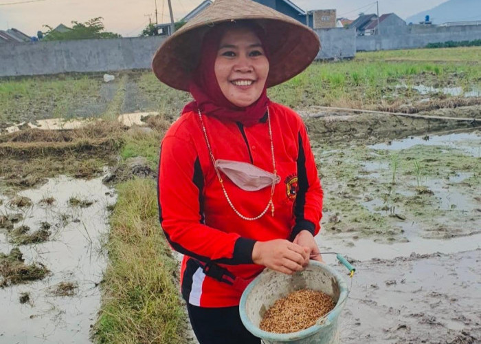 Terinspirasi Megawati, Sri Ningsih tegaskan politik perempuan bukan sekadar kuota representasi