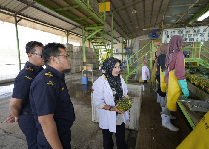 Kanwil Bea Cukai Sumatera Bagian Barat Torehkan Kinerja Cemerlang Sepanjang 2025