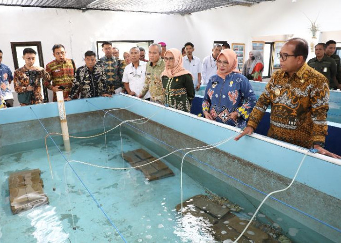 Pj Gubernur Samsudin Buka FGD Optimalisasi Pengelolaan Benih Lobster Upaya Peningkatan PAD Lampung