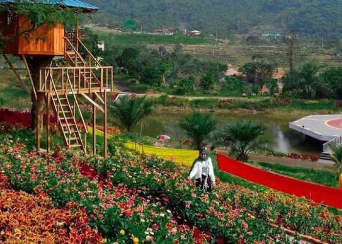 Bogor Tenjolaya Park, Destinasi Wisata Sejuk di Lereng Gunung Salak
