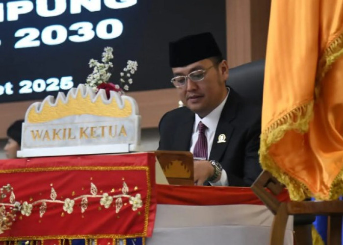DPRD Lampung Dukung Transformasi Taksi Listrik, Tekankan Regulasi Jelas dan Berkelanjutan