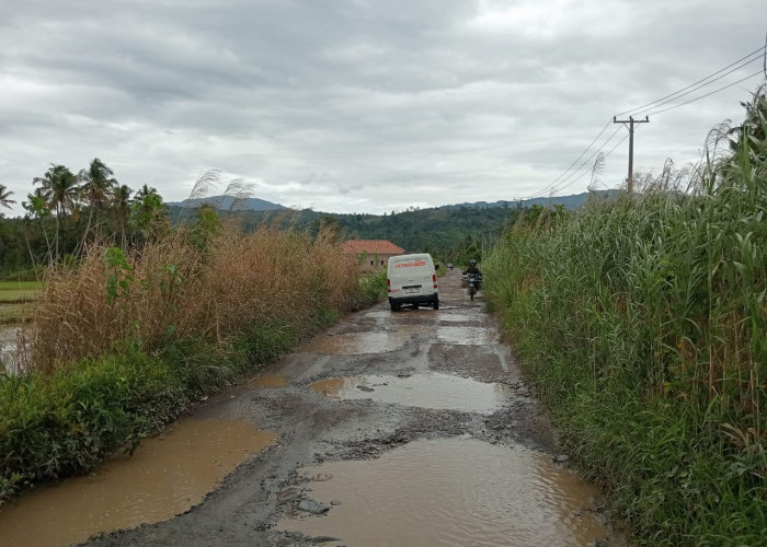 Disuntik Puluhan Miliar, Jalan Sukabumi–Suoh Jadi Prioritas, Warga Minta Perbaikan Maksimal