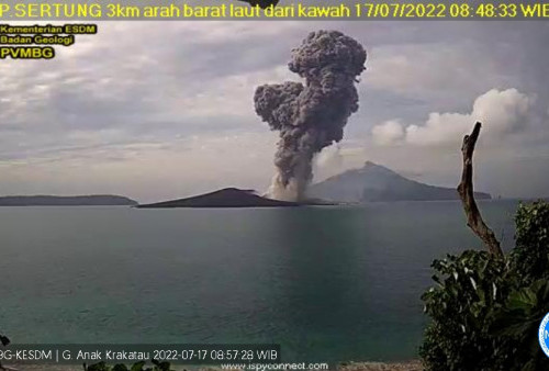 Gunung Anak Krakatau kembali Erupsi