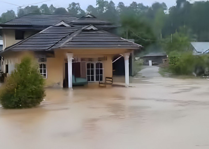 42 Rumah Terendam di Pekon Bumi Hantatai akibat Luapan Kali Way Bulok
