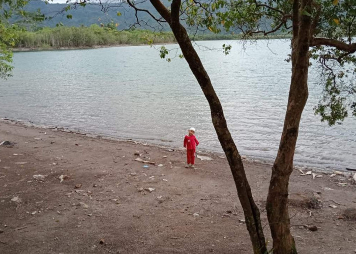 Irigasi Rawa Kalong Hidupkan Sawah di Sekitar Danau Asam, Petani Kembali Produktif