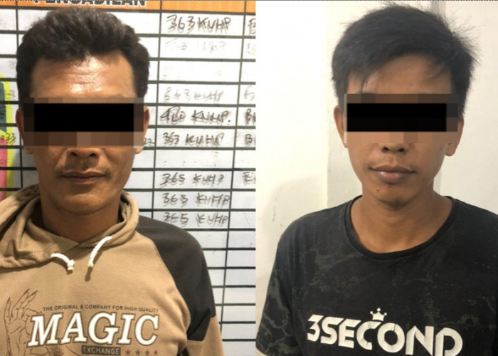 Dua Pria Diamankan Lantaran Merusak Puluhan Batang Kelapa Sawit Milik PT Kartika Mangestitama