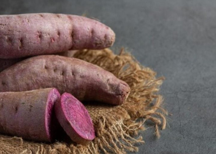 Manfaat Ubi Ungu untuk Kecantikan dan Kesehatan Wanita