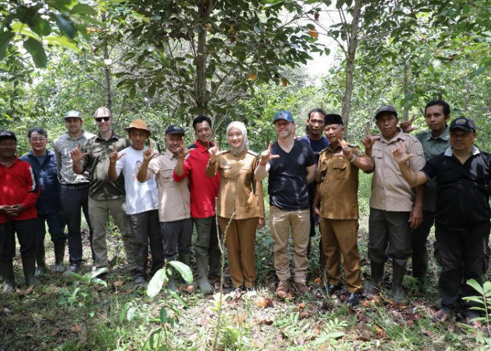Investasi Hijau Menguat, Lampung Jadi Lokasi Strategis Perdagangan Karbon