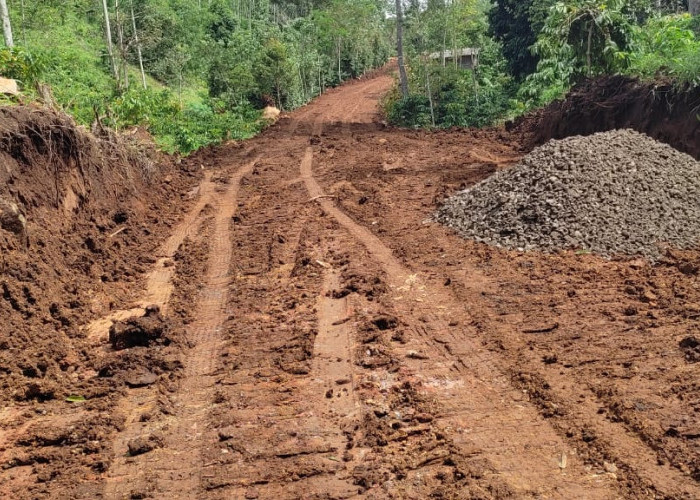 Proses Lelang Masih Sengketa, Pembukaan Badan Jalan Bambang-Malaya Sudah Berjalan