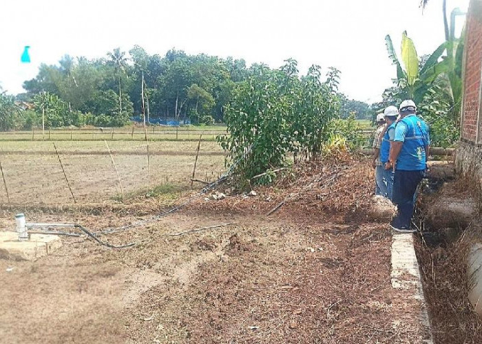 PLN Hadirkan SPLU di Desa Pejambon, Kabupaten Pesawaran Dukung Pertanian