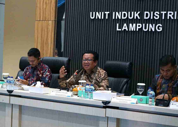 PLN UID Lampung Perkuat Layanan Pelanggan dengan Pelatihan CX100 bagi Petugas Alih Daya 
