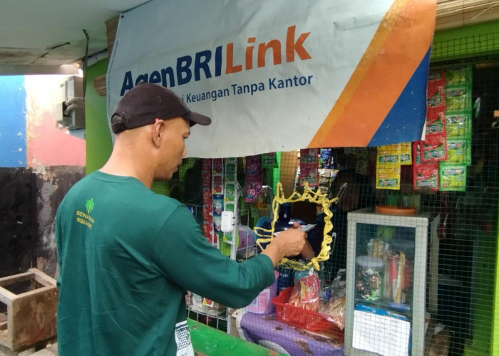 Dampak Positif Agen BRILink terhadap Perekonomian Desa dan UMKM