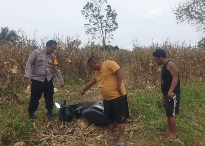 Motor Curian Ditemukan di Kebun Jagung Abung Selatan