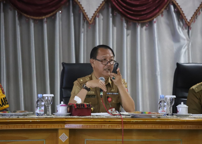 Setelah Tinjau RSUD Alimuddin Umar, Jokowi Bakal Panen Kopi di Batu Brak