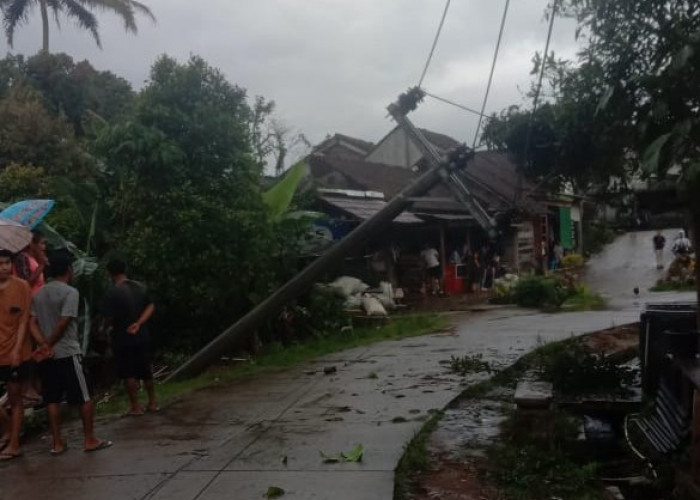 Akibat Tiang Roboh, Listrik Wilayah Way Tenong Sumber Jaya Padam