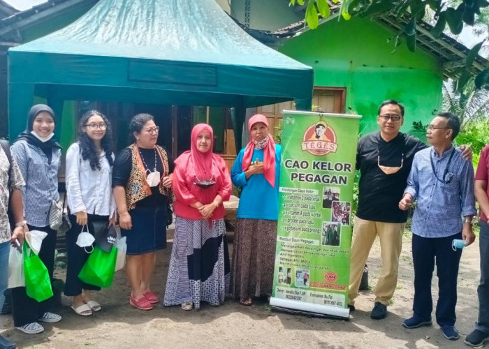 Kisah Sukses Ibu Rumah Tangga Sulap Daun Kelor Jadi Produk UMKM Beromzet Tinggi