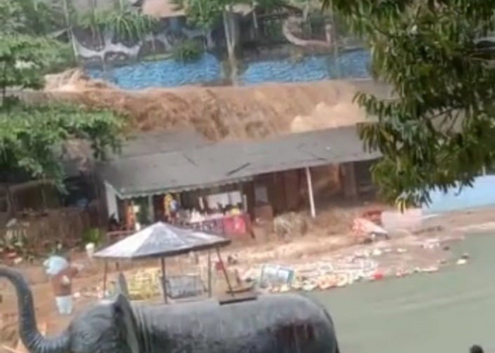 Tembok Pagar Jebol, Kolam Renang Butterfly Dihantam Banjir