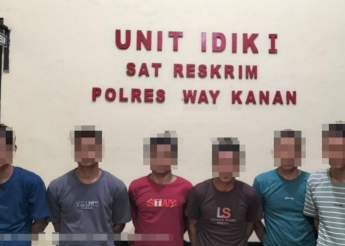 Polisi Tangkap 6 Pembalak Liar di Register 42 Way Kanan, Puluhan Kayu Disita
