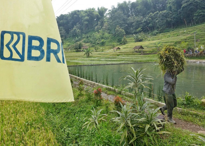 5 Komitmen Nyata BRI Dorong Peningkatan Kualitas dan Daya Saing UMKM