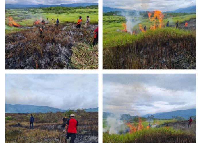 20 Hektar Lebih Padang Savana di Suoh Terbakar