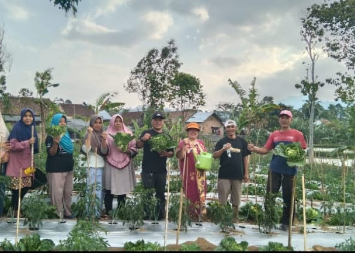 Peratin Karyanto Bimbing Warga Pekon Purawiwitan Bentuk Kampung Sayuran