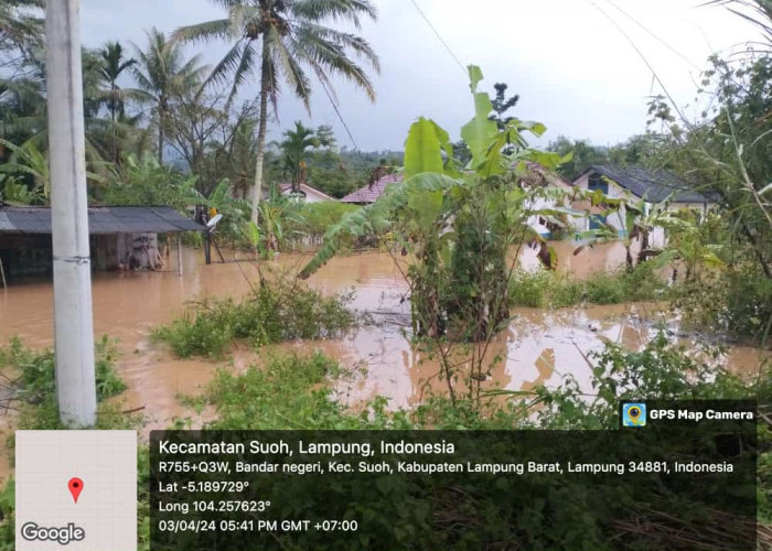 Rumah Rusak, Tiang Listrik Roboh dan 11,5 Hektar Sawah Terendam Akibat Banjir di BNS Lampung Barat