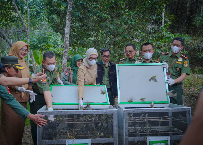Wagub Jihan Minta Tata Kelola Hutan Lampung Dibenahi, Perambahan Jadi Perhatian