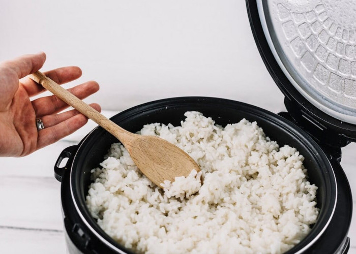 Ciri-Ciri Nasi Basi yang Perlu Diketahui agar Terhindar dari Keracunan Makanan