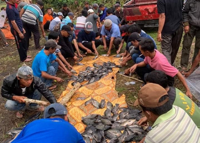 Tradisi Tatikolan Adat Lampung Masih Terjaga di Tengah Kemajuan Zaman 