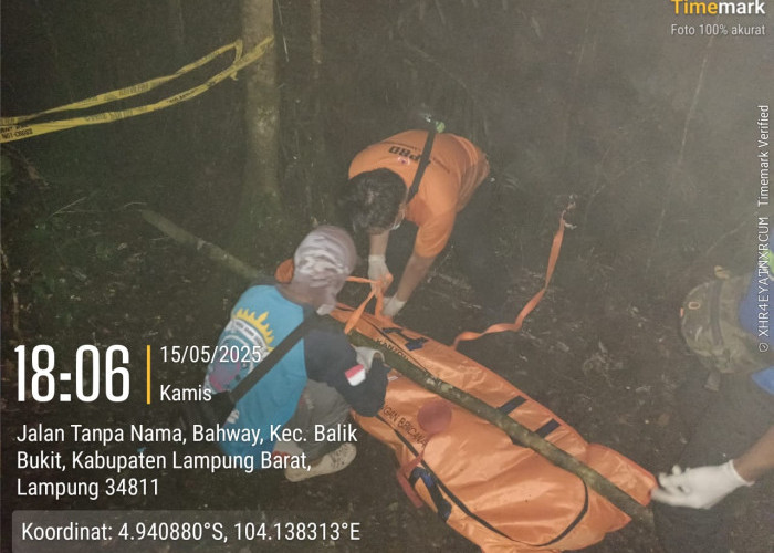 Jenazah Pendaki Gunung Pesagi Berhasil Dievakuasi, Identitas Masih Misteri