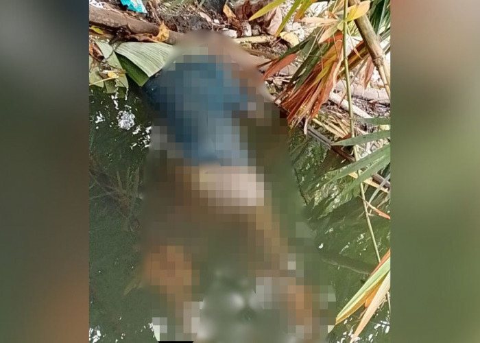 Diduga Peratin, Mayat di Way Marang Gegerkan Warga