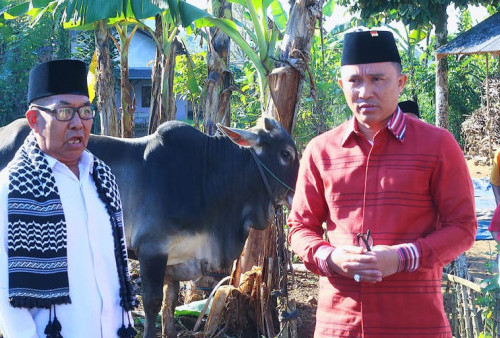 Shalat Idul Adha di Purajaya, Parosil Serahkan Dua Ekor Sapi Kurban 